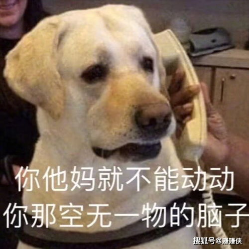 搞笑表情包图片面对滔滔不绝的人,你必须要有这张图