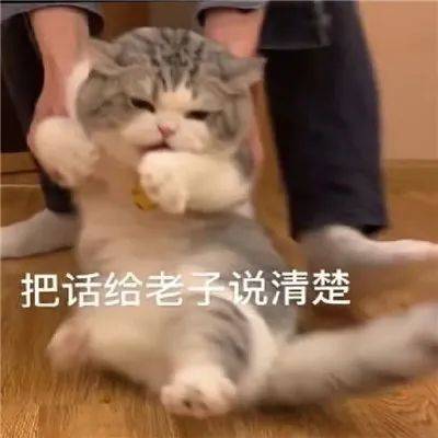 沙雕搞笑表情包你比冬天提前来了很幸运