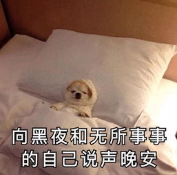 e句话看天下丨这位慈祥的老奶奶,曾经是台湾第一小生