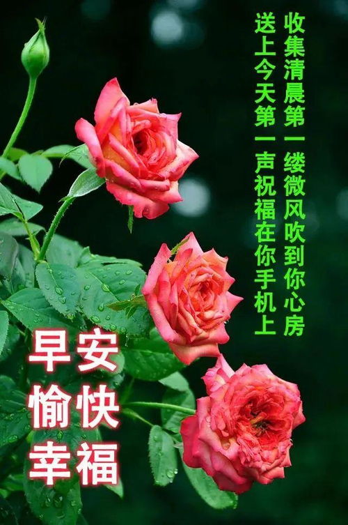 7张有创意免打字早上好图片带祝福语2021温馨的春天早上好问候语图片带字精选