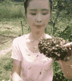 爆笑gif图狗狗看电视,这表情可太逗了