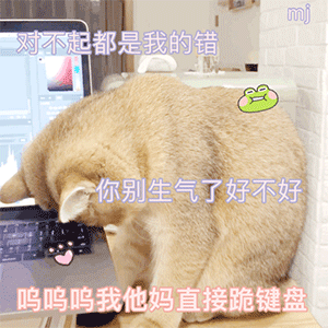 今日份沙雕表情包2元撸猫,5元合照