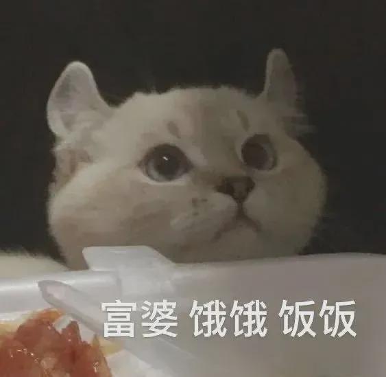 回力广告文案骂自家模特太丑,这脑瘫操作我看傻了