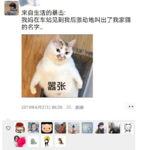 开心一刻开车下班,我一看贴的是大龄剩男,追尾必嫁于是我就...粉红色桌面上帅哥