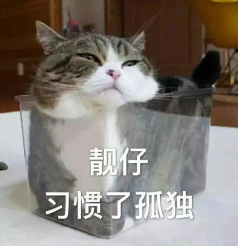 猫咪表情包我们要的从来就不是爱,而是偏爱