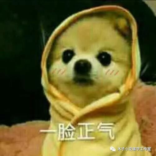 日本留学京都元気小姐姐打工记