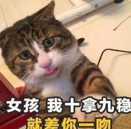 有本事先找到对象表情包高清分享