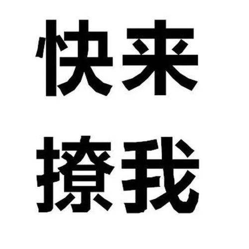 个性文字头像,刷到第一张我就想换