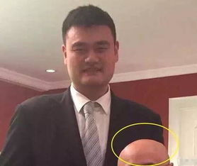 姚明马云最萌身高差走红,论和姚明合影的正确姿势