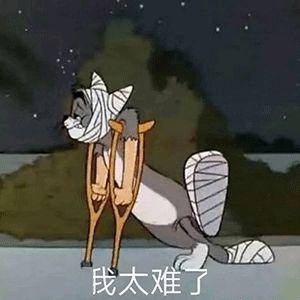 女生头像我觉得猫很可爱