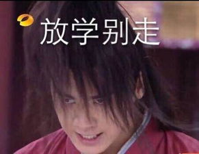 苏苏表情包恶搞文字qq表情