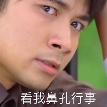 何书桓表情包合集今tia也要加油鸭