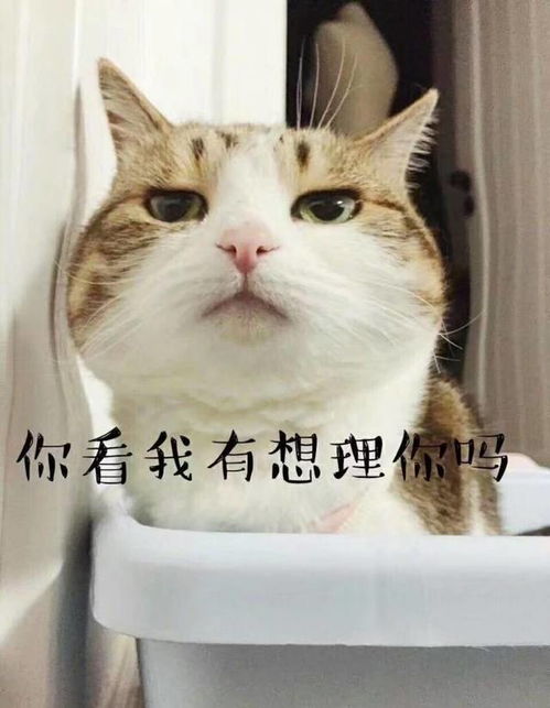 搞笑段子老婆打电话让师傅上门维修师傅来到之后检查一番后说水饺