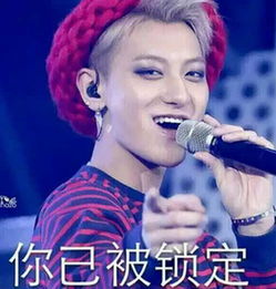 年度最强盛典11月开幕exo四小鲜肉有望重聚