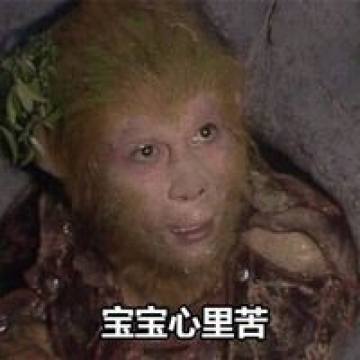 搞笑表情包图片孙悟空