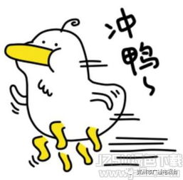 给我四天时间带你穿梭在豪宅豪车美食里无法自拔