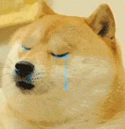 最新版沙雕柴犬表情包