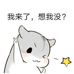令人喷饭国内山寨无数的美国潮牌,原来就是个高中校服