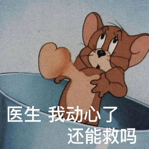 表情包丨总有一张你会喜欢的