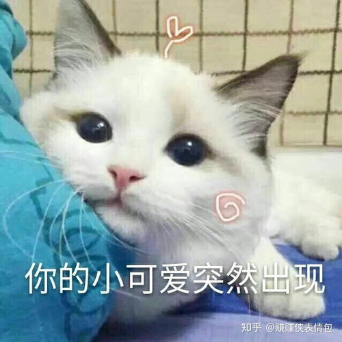 热门表情包图片请开始你的表演,谢谢,姐姐不需要