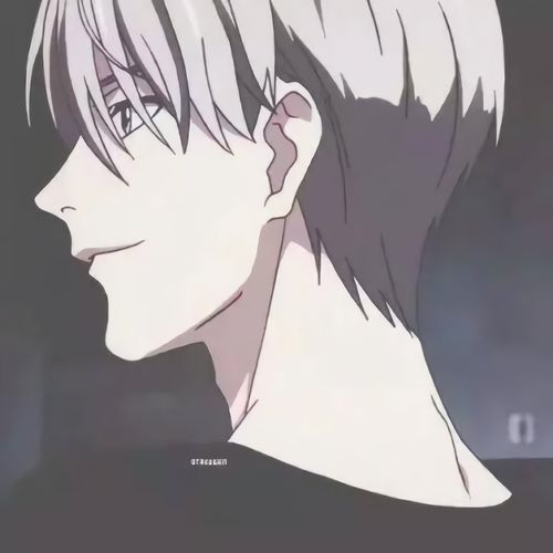 动漫男头纵是千千晚星,不敌灼灼月光