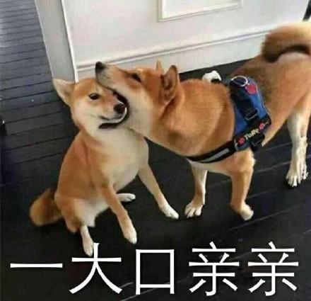 情侣专用表情包今晚来我房里谈点事,我想我已陷你甜蜜陷阱里了