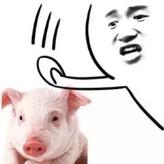 真有钱,必须想办法泡到这个富婆