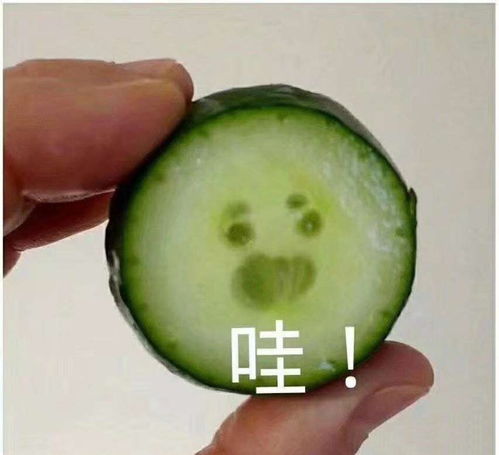 我不怕死我来说一句