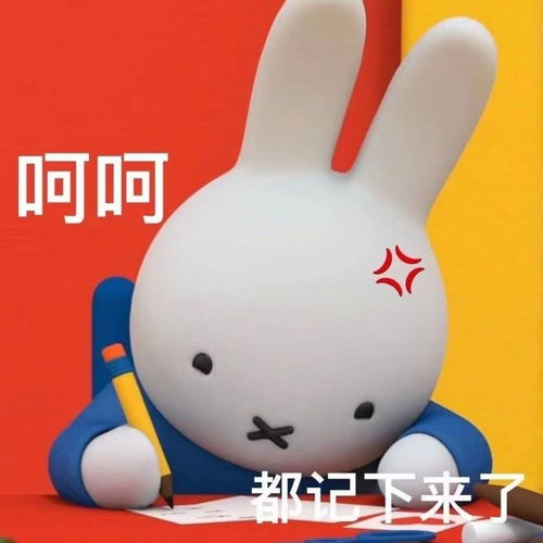 你一定会喜欢的米菲兔米菲兔沙雕表情