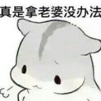 老婆表情包图片大全微信头像图片大全