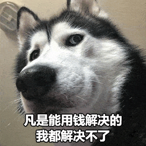 超火表情包用凡是用钱能解决的事情,我都解决不了