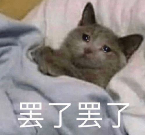 年轻人仅存的那点假期余额,出趟门全用来排队了