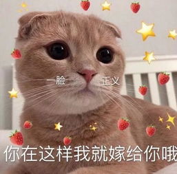 幽默笑话和媳妇闹别扭,被赶到小房间睡觉,媳妇偷偷拿了把剪刀