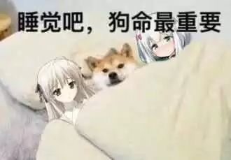 远离佛系生活篇