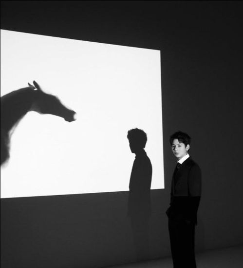 丁真联合国发言不怯场穿西装生图颜值帅成漫画男主,抿嘴太乖巧