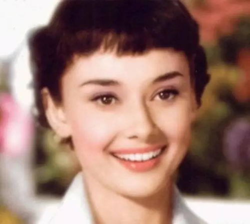 赫本气质唯美头像卡通整容