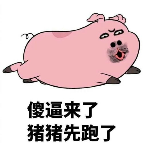 开心一刻同事们都在讨论二胎是要男孩,还是要女孩