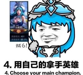 搞笑表情包斗图王昭君