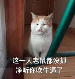 淘宝上靠谱的多肉种子店多肉联萌