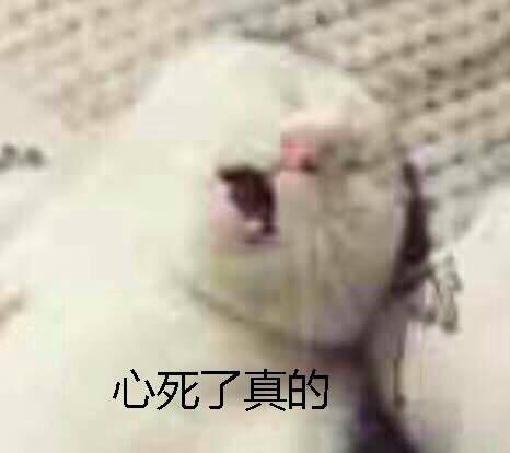 长沙社保新规有了解的吗