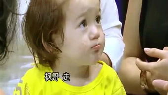 搞笑表情视频柠檬