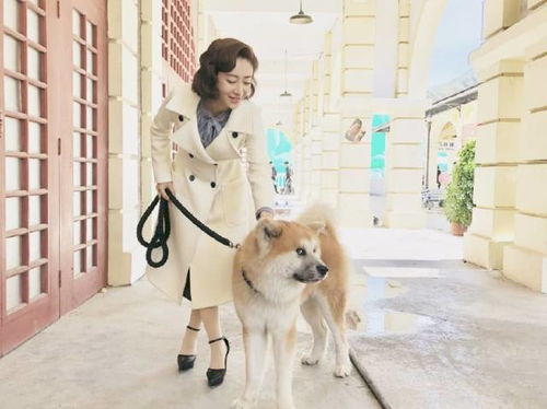 萧十一郎中的连城瑾,吴奇隆御用女演员,今40岁容颜未改似少女