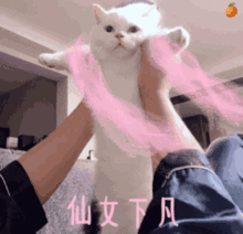 沙雕图文爆笑gif都说宠物随主人,不是没有道理的