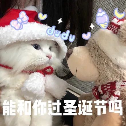 表情包圣诞节圣诞节快乐