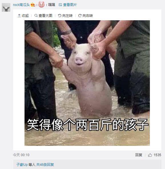 抢险人员从洪水中救起一只猪,猪我还不如淹死算了