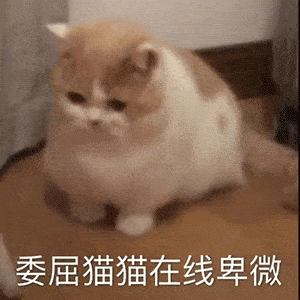 你坏坏,小孩子不能看