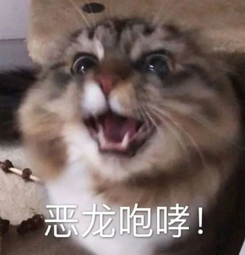 这剧就更了一集不确定,我再看看