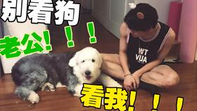 妈呀肖宇梁冲浪视频我看一次笑喷一次太可爱了吧忍不住做成表情包but他还是很帅的搞笑视频新年开新事