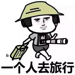 实用租赁车辆交通违法处理这么简单快来了解
