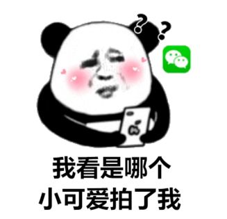 微信拍一拍聊天搞笑表情包来袭,拍一拍表情包火爆全网,拍一拍gif